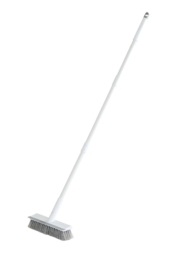 D1 プッシュブルーム